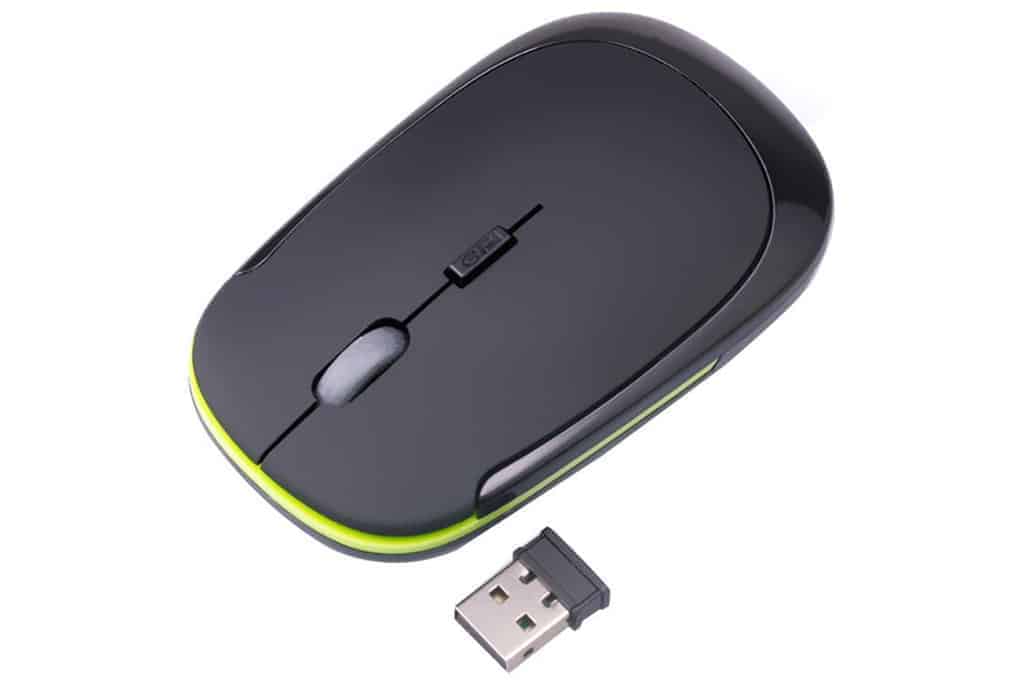 Mouse