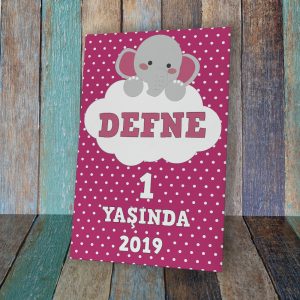 Doğum Günü & Baby Shower Karşılama Panosu