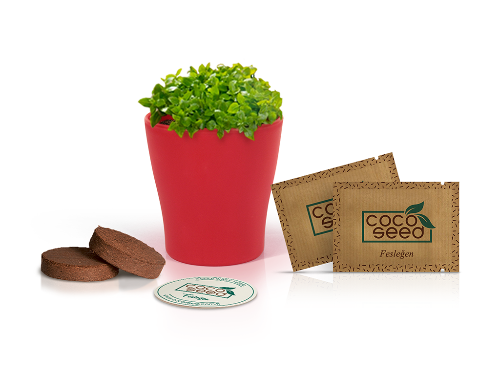Cocoseed Bitki Ekim Kitleri